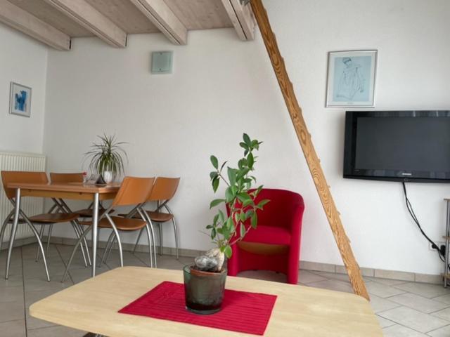 Haus Lorenz, Ferienwohnungen Имменштад-ам-Бодензее Экстерьер фото